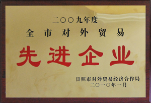 2009年度全市對外貿(mào)易先進企業(yè).jpg