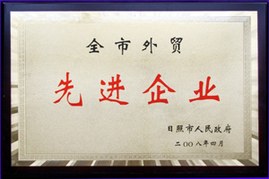 全市外貿(mào)先進企業(yè).jpg